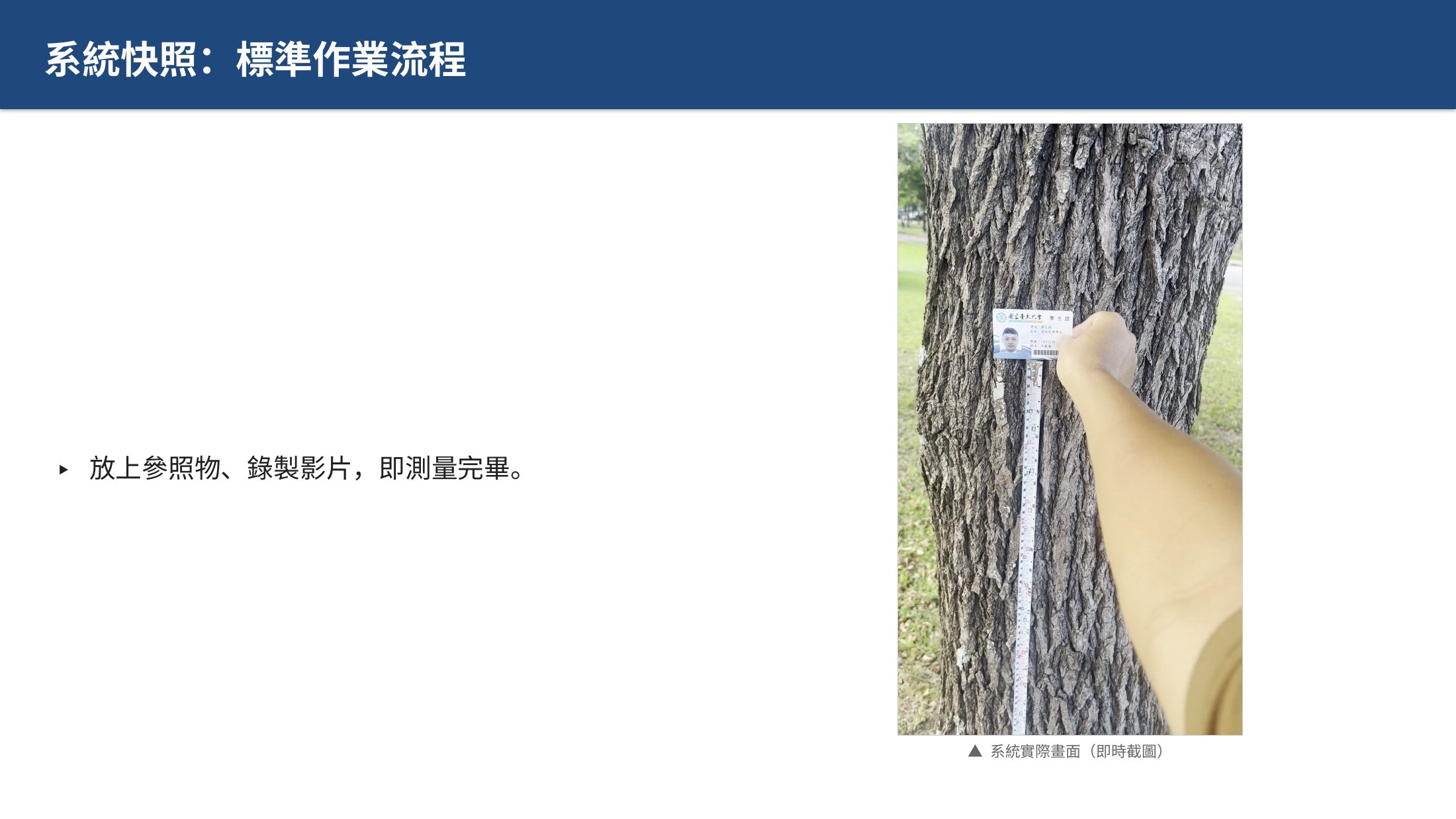 投影片 13